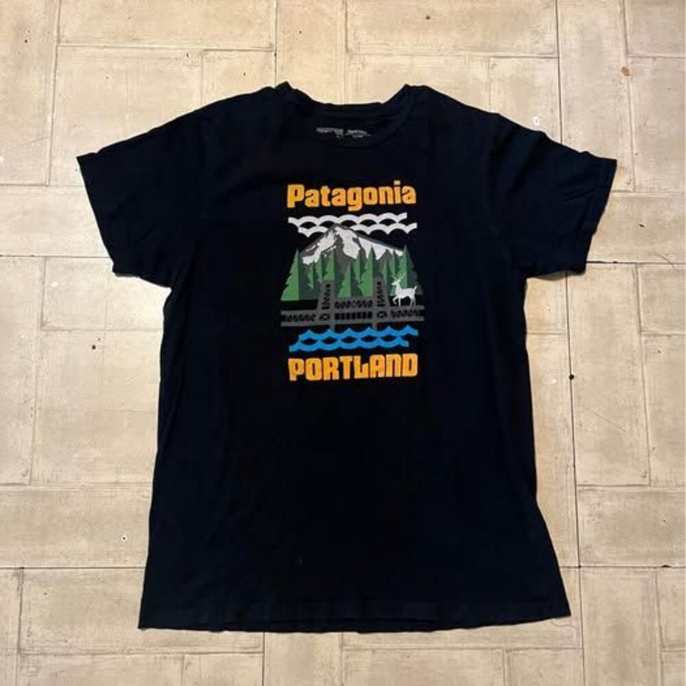 Patagonia organic cotton black tshirt size large slim fit